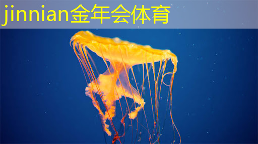 金年会jinnianhui.com：四川游戏原画教学