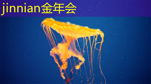 jinnian金年会：3d模拟地震游戏怎么玩的