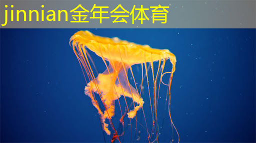 游戏小程序饭馆怎么玩的