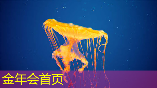 jinnian金年会：第四届中国青年电竞大赛有没有赛事保险？
