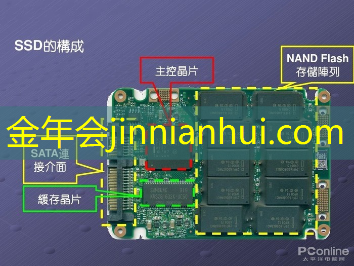 当电竞职业选手的要求和条件有哪些