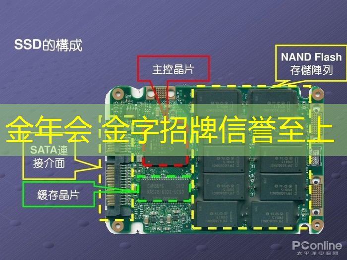 青葱岁月，热血奋进！全国青年电竞大赛官网报名正式启动！