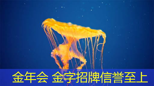 四川游戏原画教学