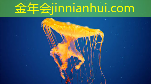 成都游戏原画师失业怎么样